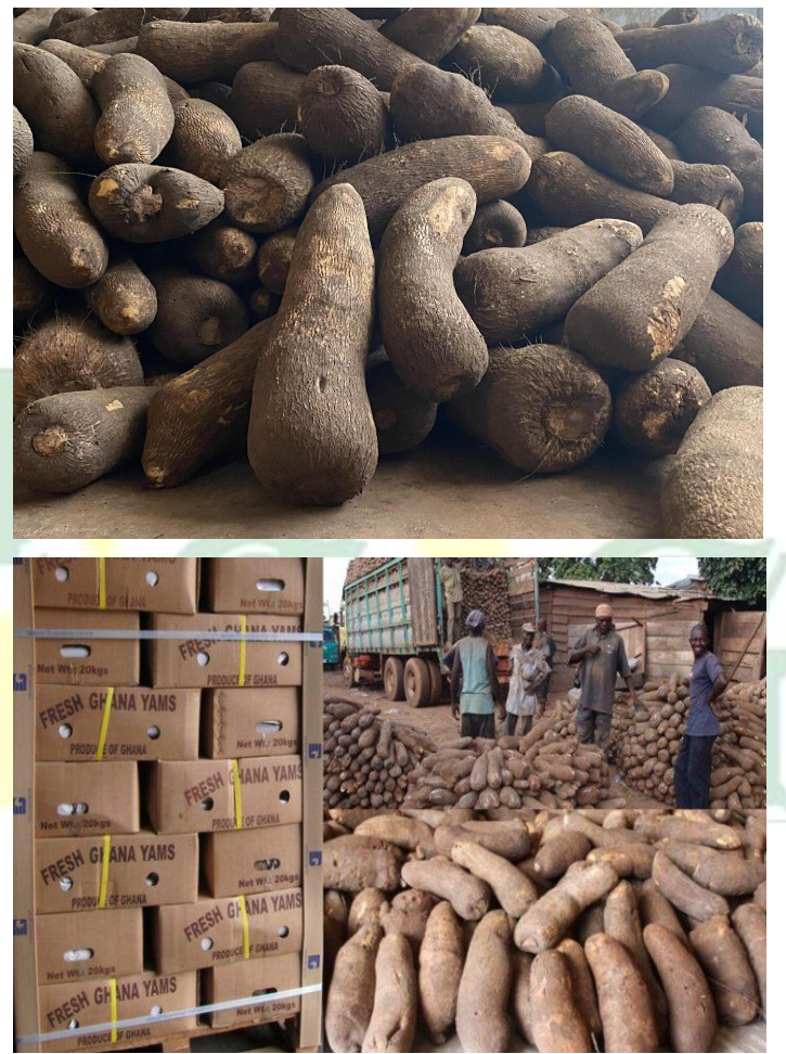 Fresh Ghana Yams