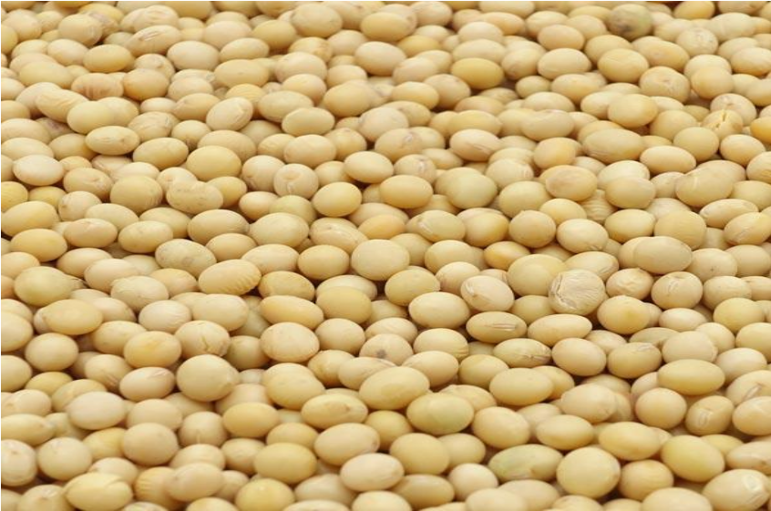 Soybeans